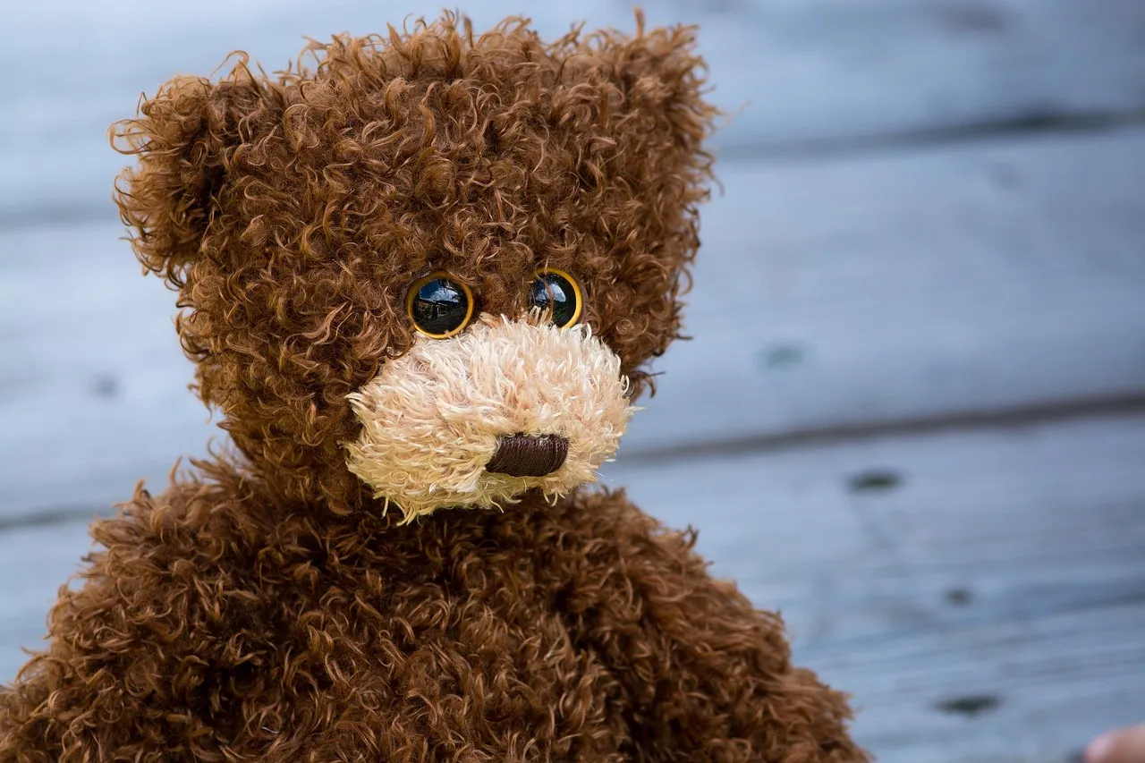 Bandaged teddy bear