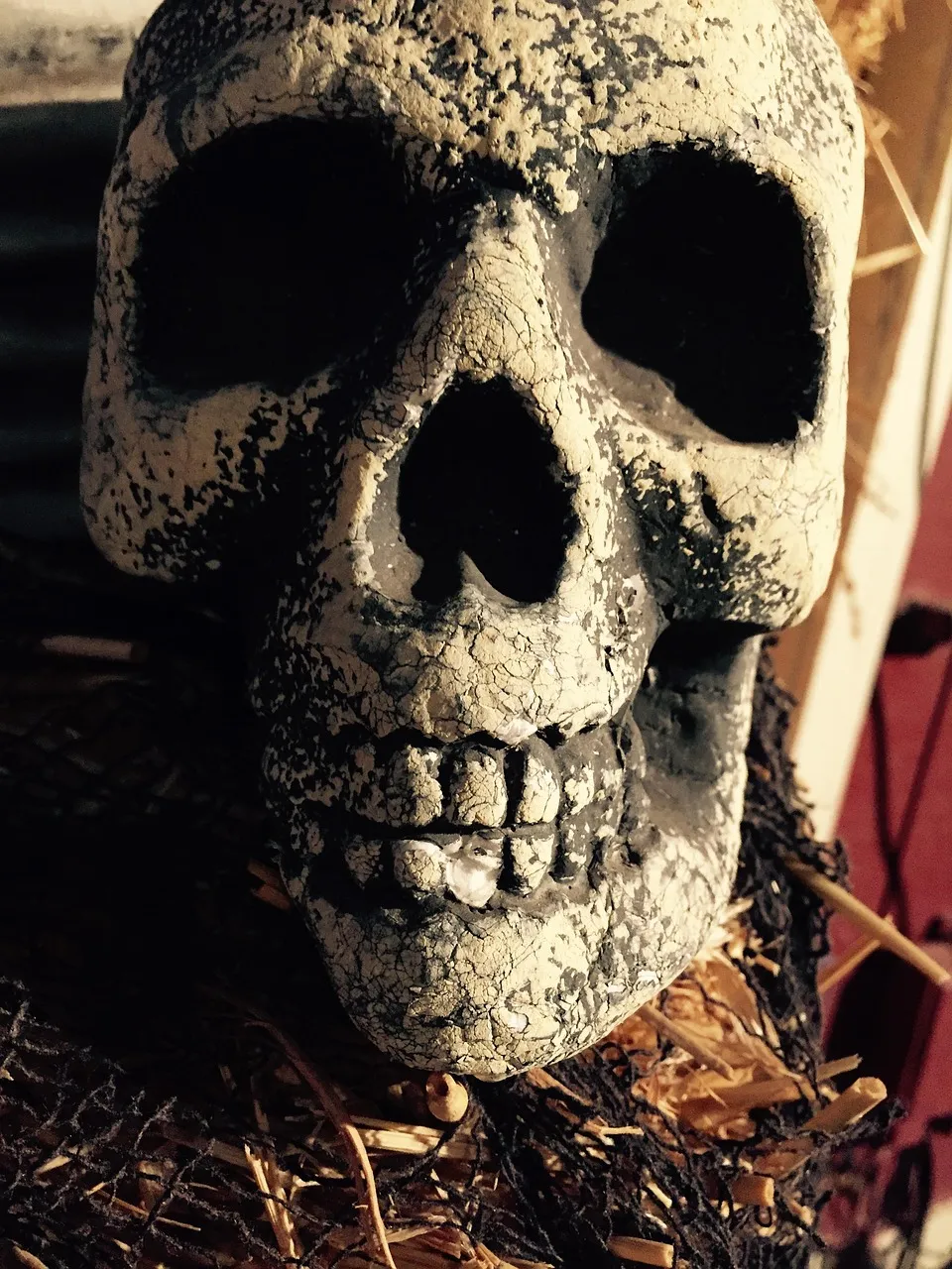 halloween-activity-pack-gallery-3