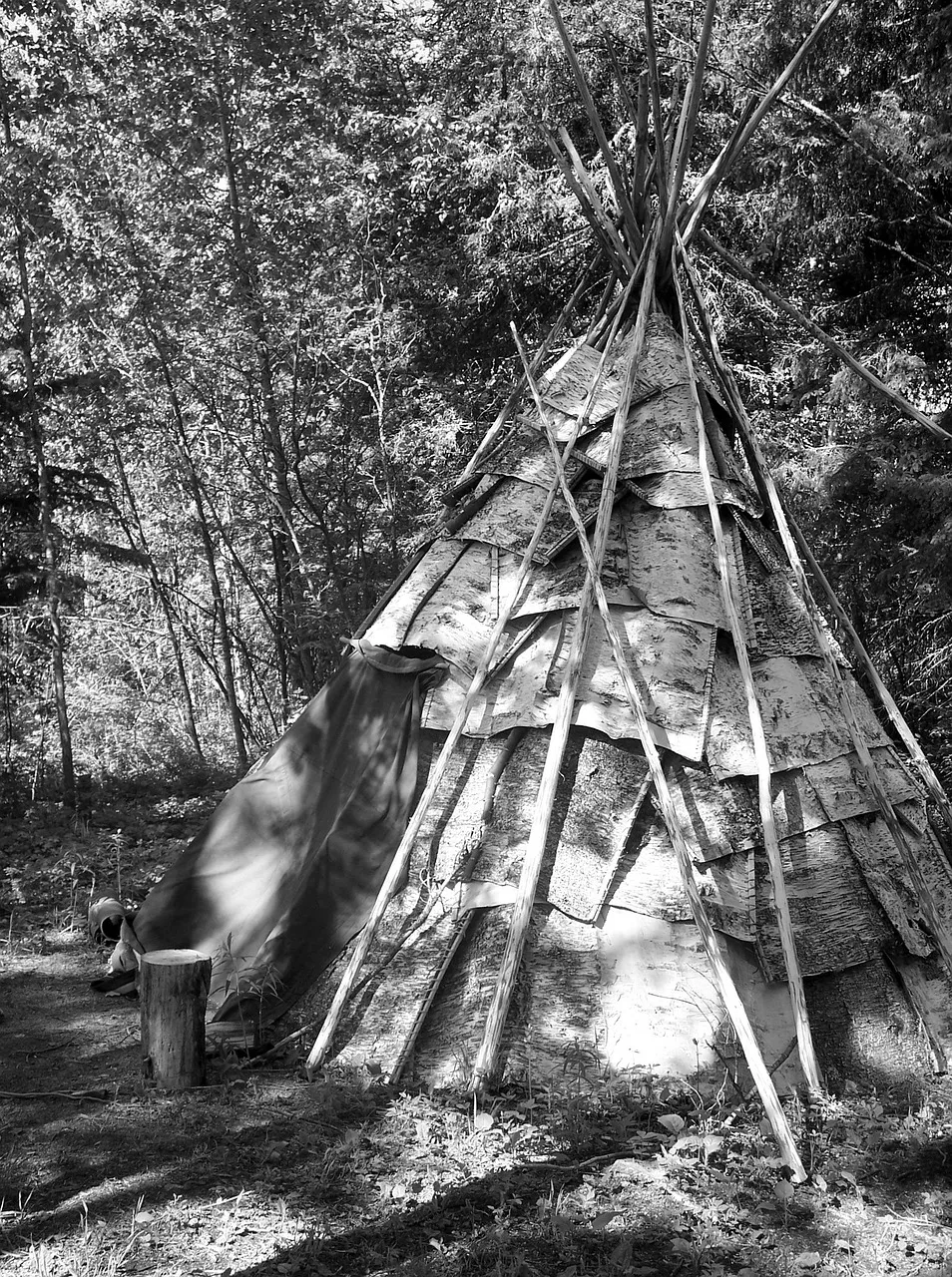 First step of building a wigwam or wicki-up, illustrated