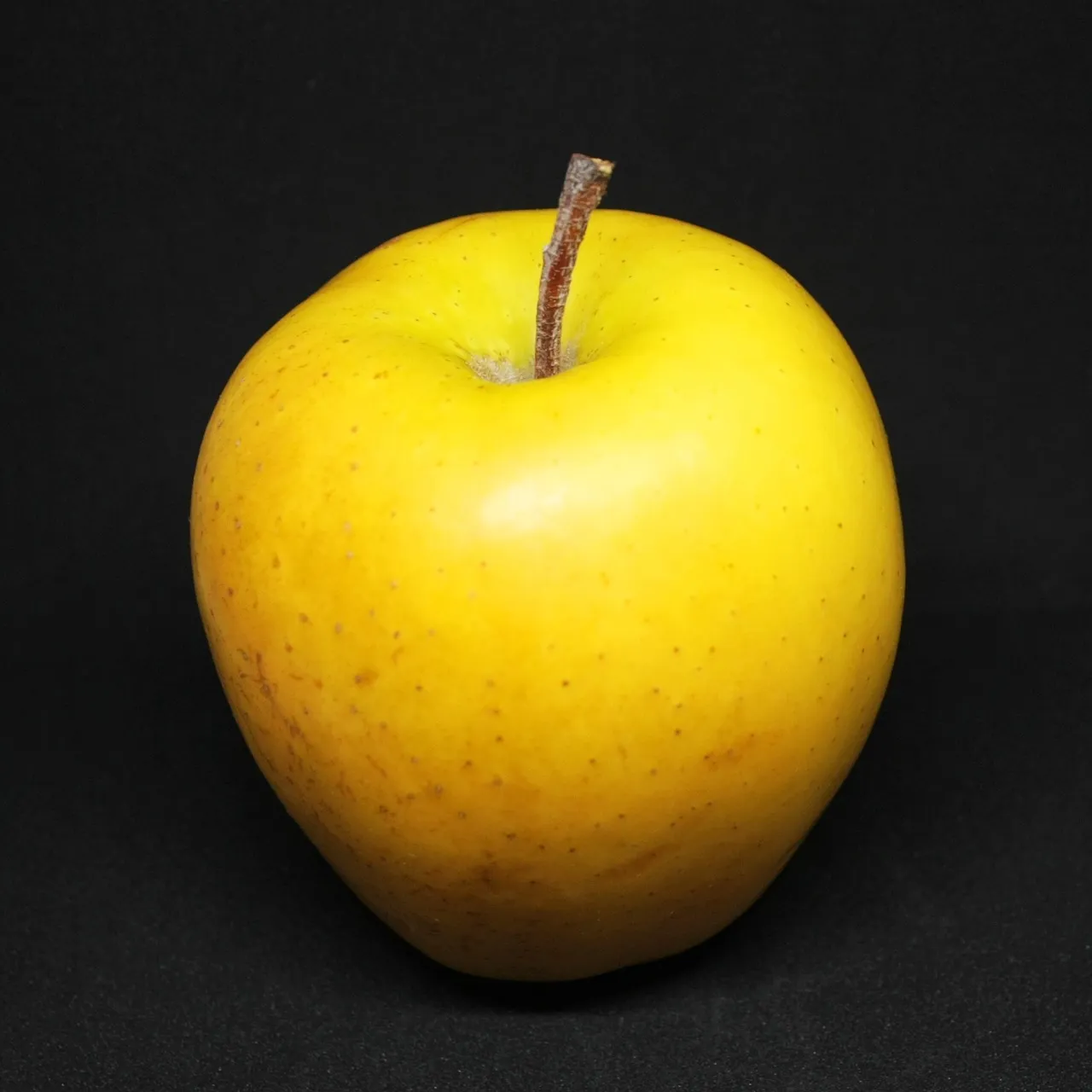 Illustrated home-made apple monsters