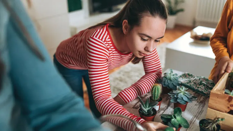 A young girl making a terrarium